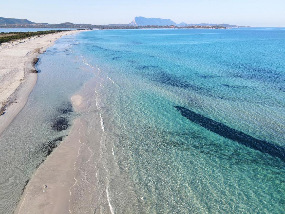 Iss Travel, Sea View Apartment Il Corbezzolo - Ground Floor With Air-Condition San Teodoro  Eksteriør bilde